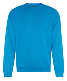 Pro RTX RX301 Pro Sweatshirt